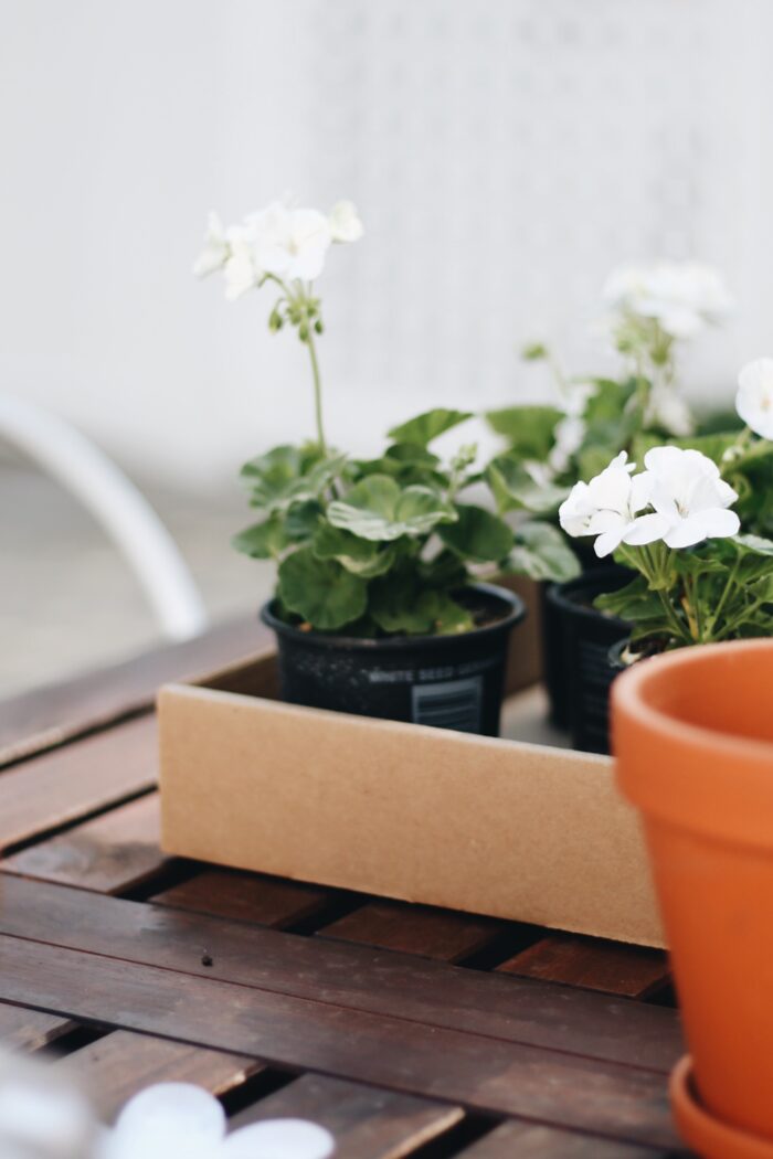 Eloise’s 4th Birthday Flower Party